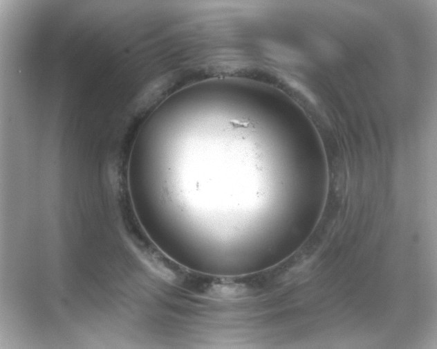 X0000068850455200605051217