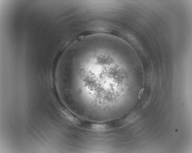 X0000068850457200605051217