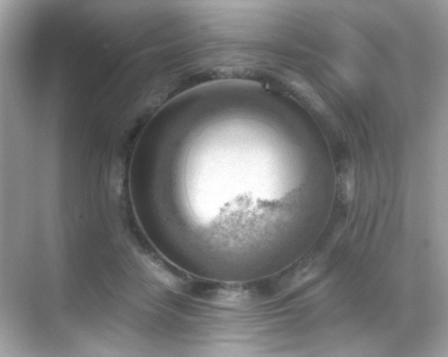 X0000068850458200605051217