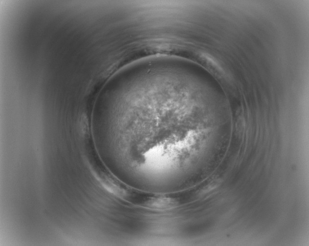 X0000068850459200605051217