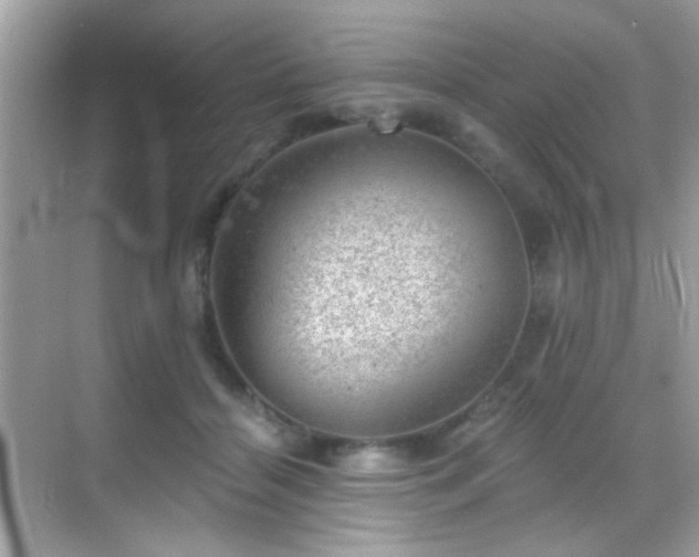 X0000068850460200605051217