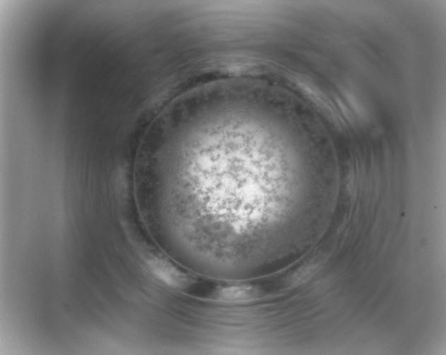 X0000068850461200605051217