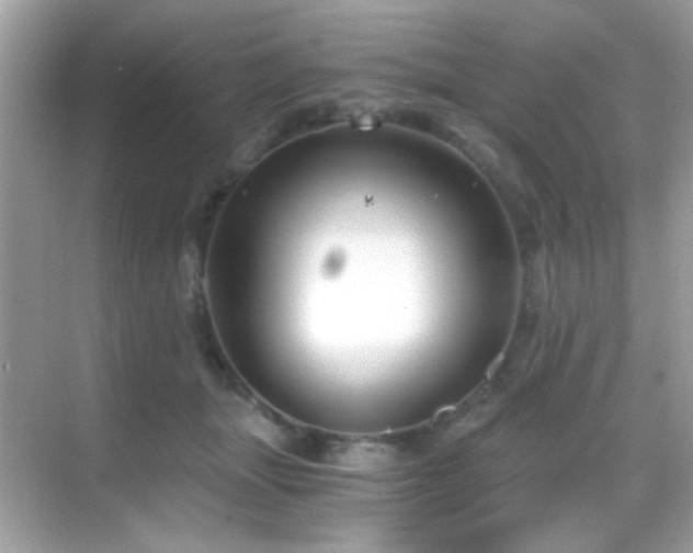 X0000068850463200605051217