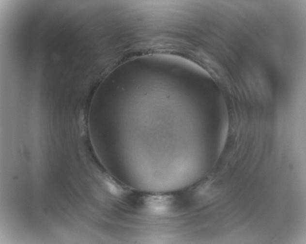 X0000068850465200605051217