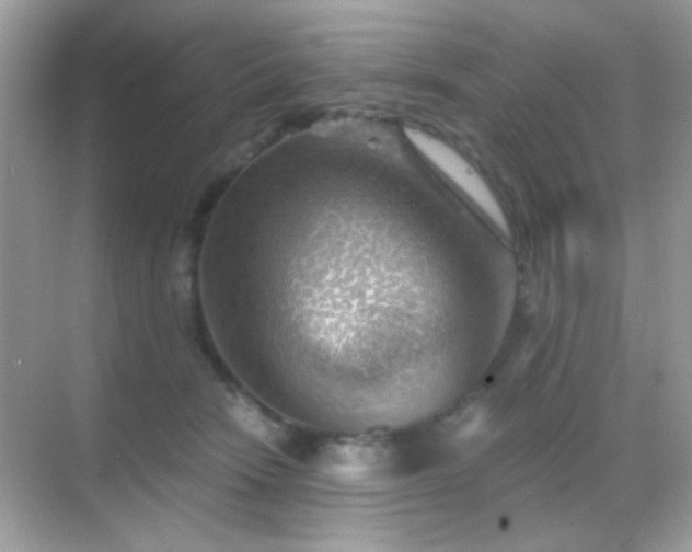 X0000068850466200605051217