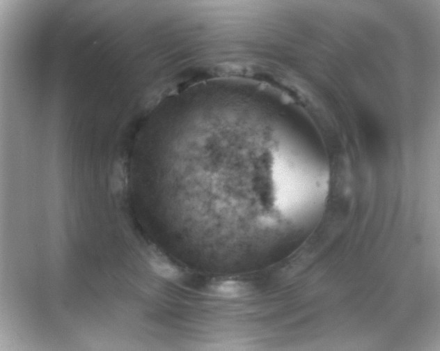 X0000068850467200605051217