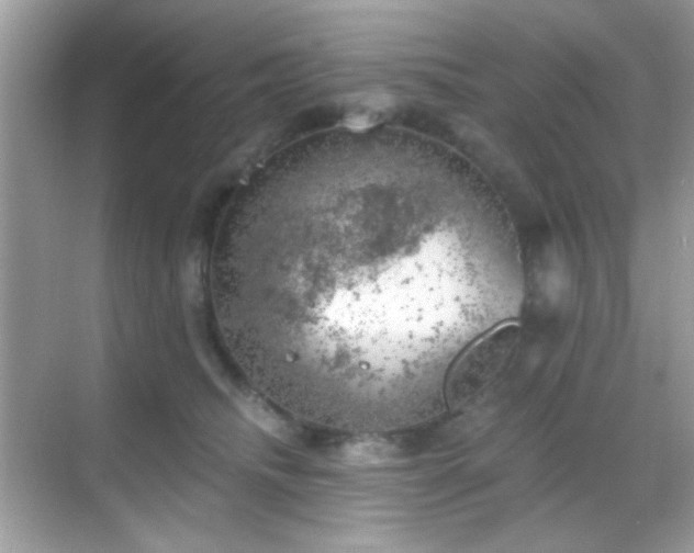 X0000068850468200605051217