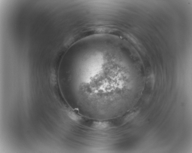 X0000068850469200605051217