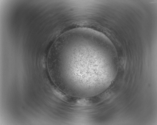 X0000068850470200605051217