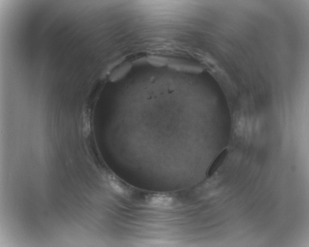 X0000068850471200605051217