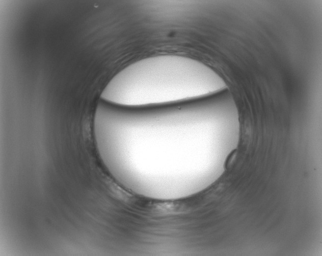 X0000068850473200605051217