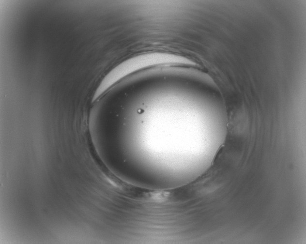 X0000068850474200605051217