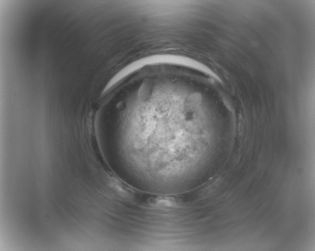 X0000068850475200605051217