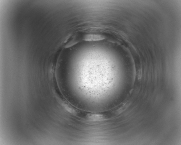 X0000068850476200605051217