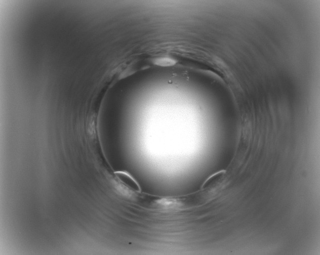 X0000068850477200605051217