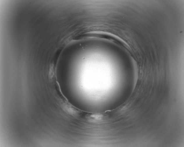 X0000068850478200605051217