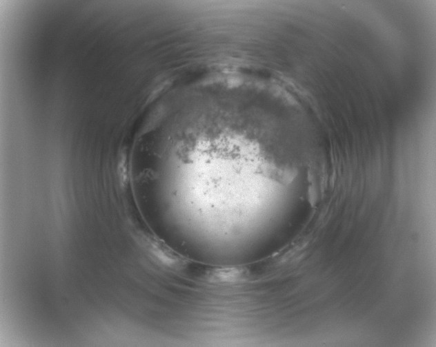 X0000068850479200605051217