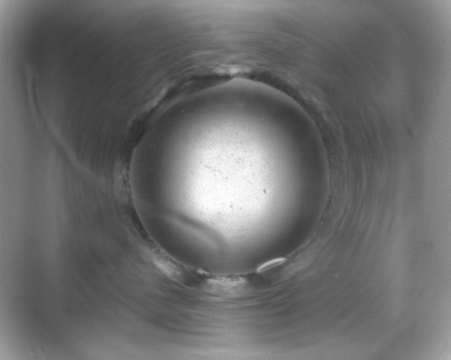 X0000068850480200605051217