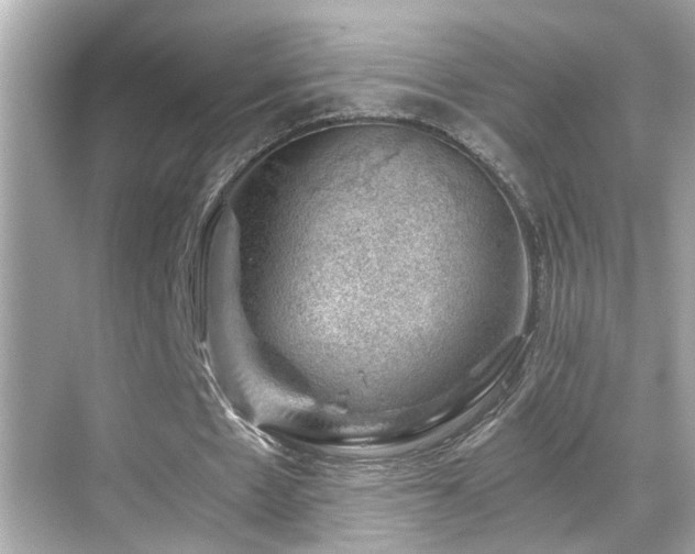 X0000068850481200605051217