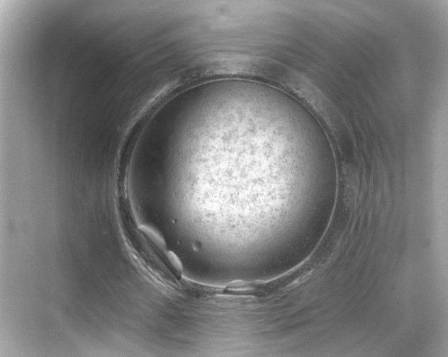 X0000068850482200605051217