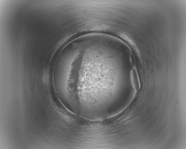 X0000068850483200605051216