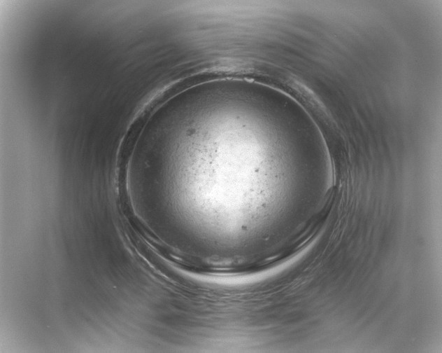 X0000068850484200605051216