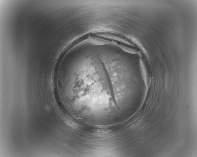 X0000068850487200605051216