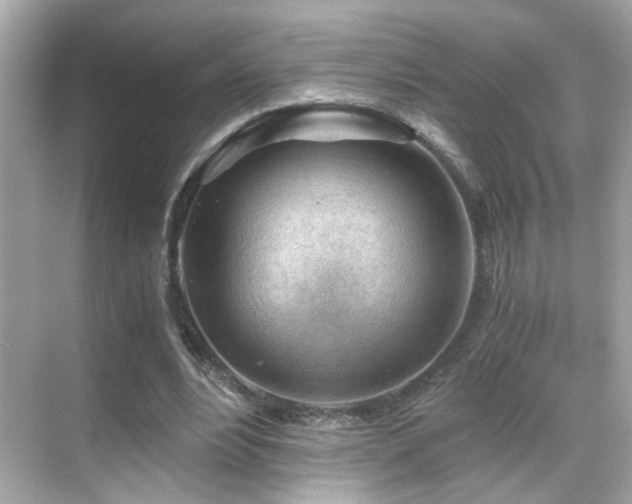 X0000068850488200605051216