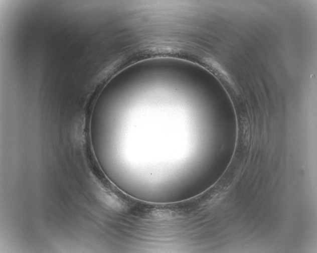 X0000068850490200605051216