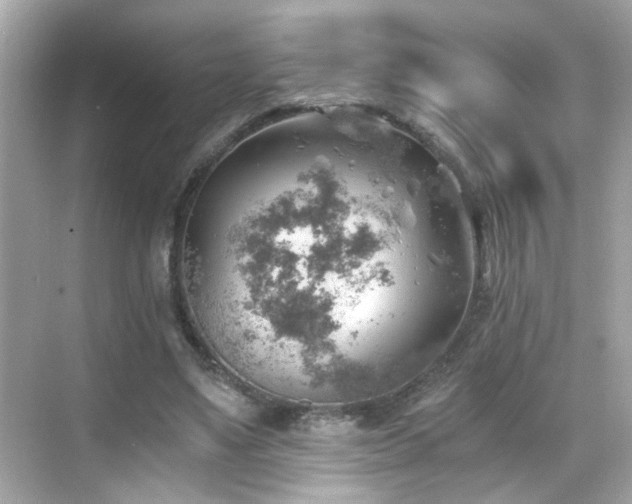 X0000068850491200605051216