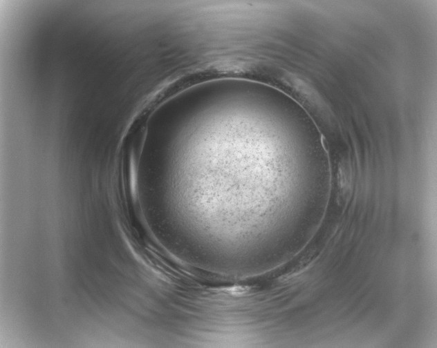 X0000068850492200605051216