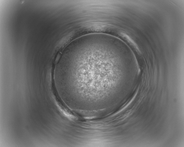 X0000068850493200605051216