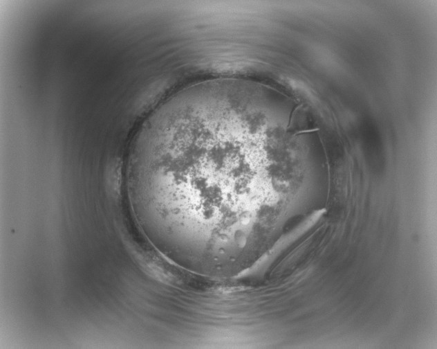 X0000068850495200605051216