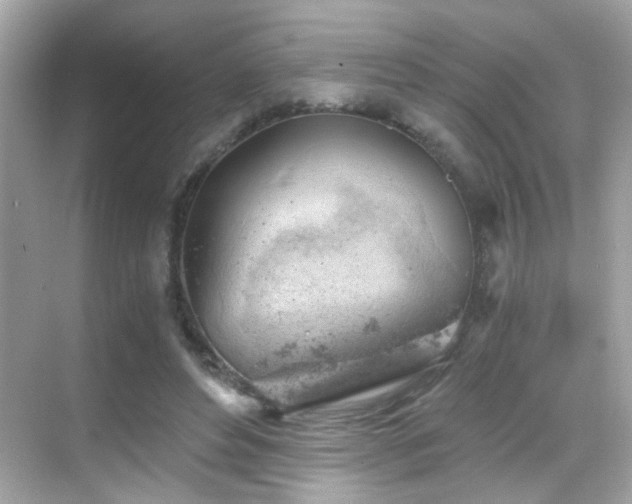 X0000068850496200605051216