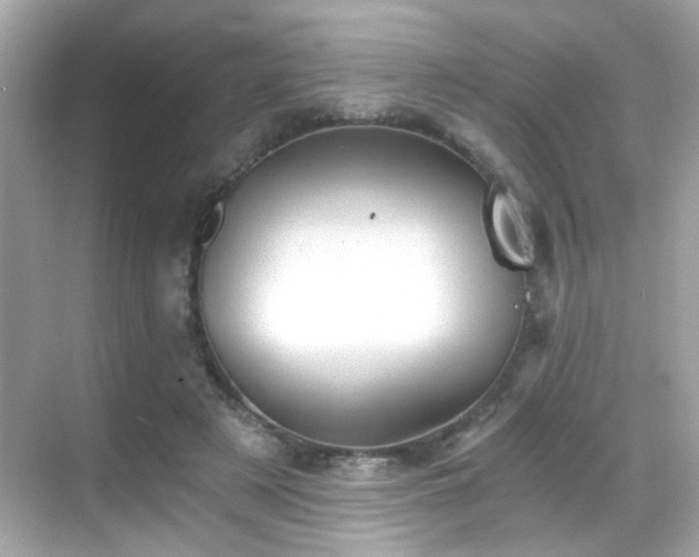 X0000068850497200605051216