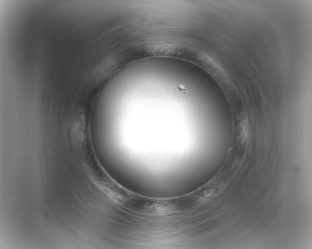 X0000068850498200605051216