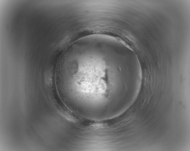 X0000068850499200605051216