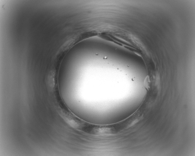 X0000068850501200605051216