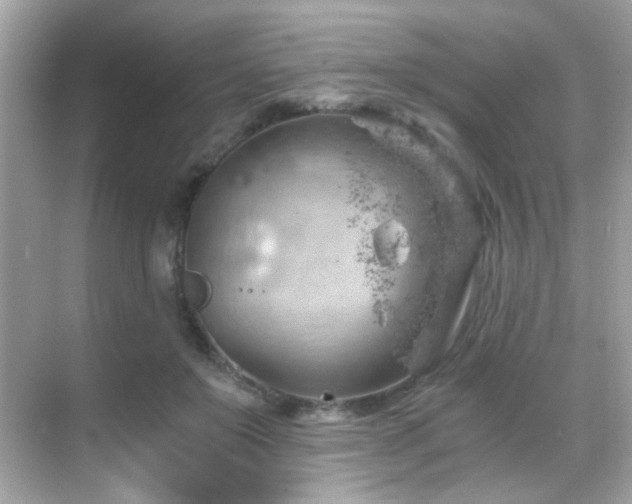 X0000068850503200605051216