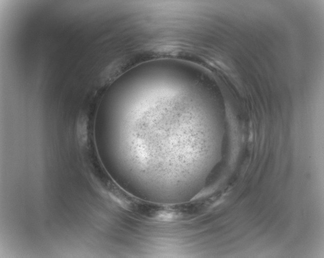 X0000068850504200605051216