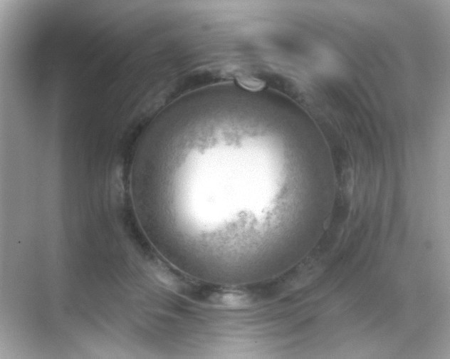 X0000068850506200605051216