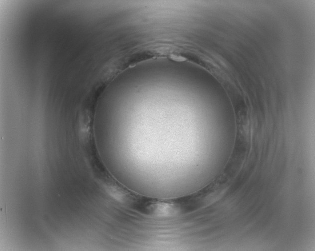 X0000068850507200605051216