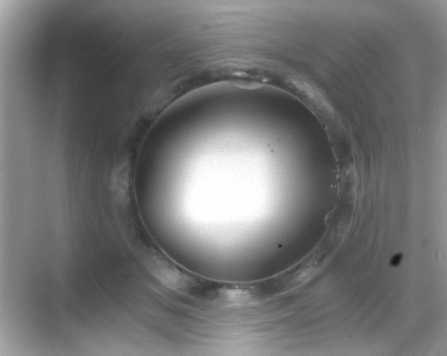 X0000068850509200605051216