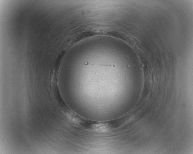 X0000068850511200605051216