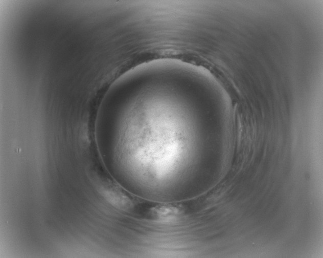 X0000068850512200605051216