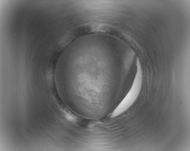 X0000068850513200605051216