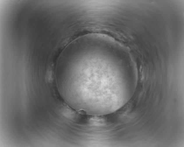 X0000068850515200605051216