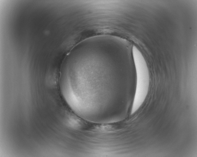 X0000068850517200605051216