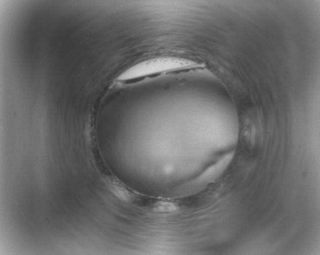 X0000068850519200605051216