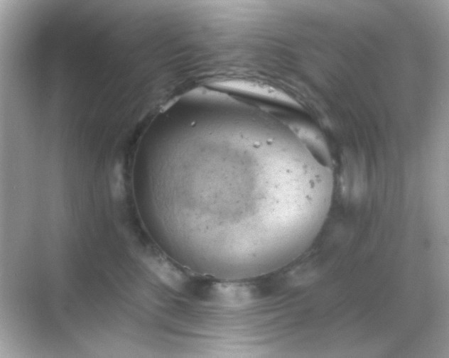 X0000068850520200605051216